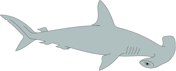 The image shows a black silhouette of two sharks swimming side by side against an indistinct background.