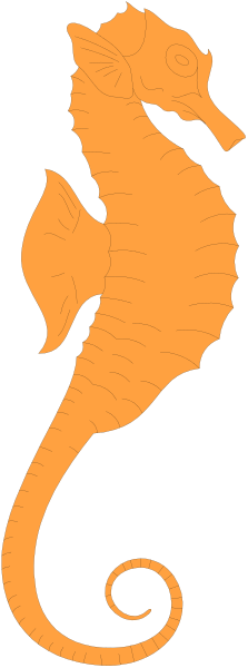 The image shows a stylized orange fish with swirling patterns on its body inside an oval frame against a black background.