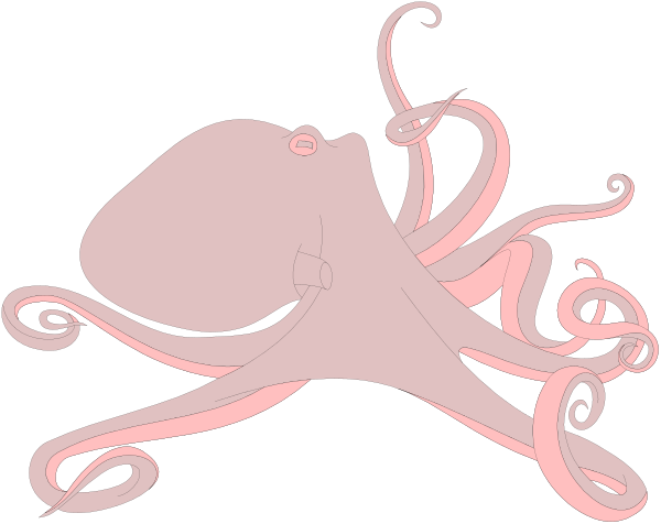 The image features a cartoon octopus with pink tentacles against a black background.
