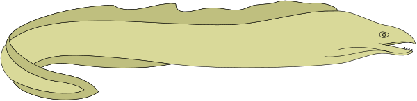 The image shows a snake with its mouth open as if it's about to bite something on what appears to be an outdoor surface during daylight hours.