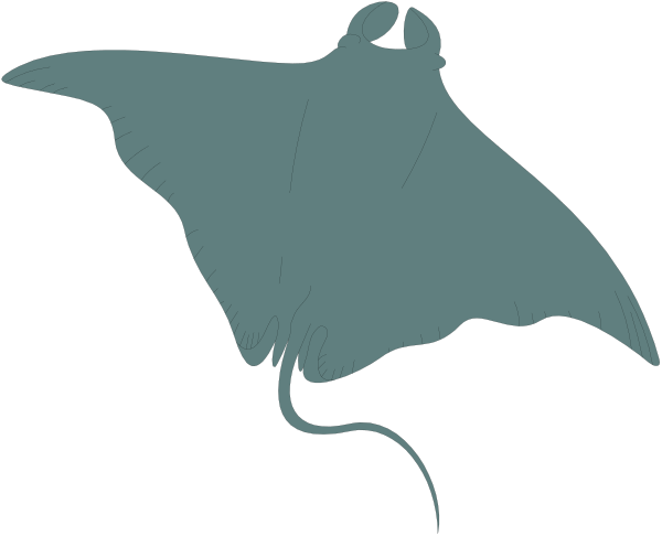The image shows a stylized illustration of two flying fish with open wings against a dark background.