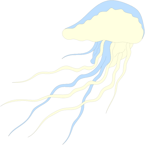The image shows two jellyfish with trailing tentacles against a black background.