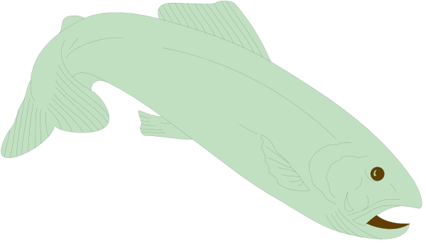 The image shows a cartoon of two fish: an orange salmon with its mouth open on top left corner; below it is another greenish-blue fish that appears to be swimming away from viewer's perspective, and both appear in water against dark background.