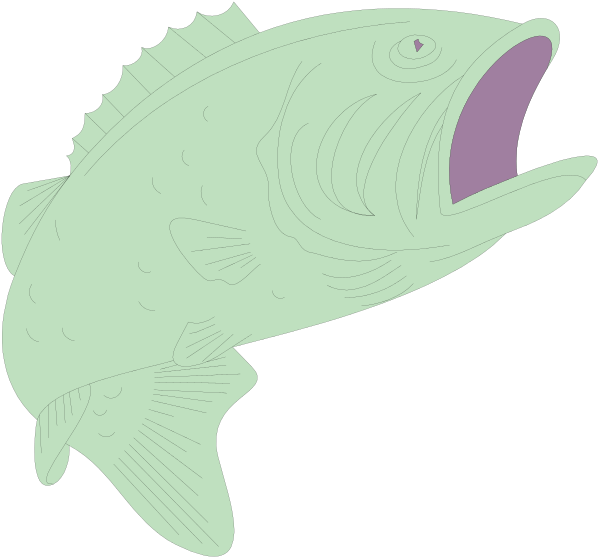 The illustration shows a large fish with an open mouth next to another smaller fish that appears to be swimming away from it.