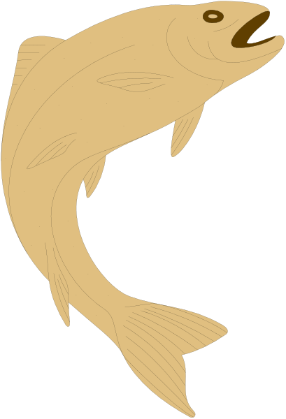 The illustration shows a stylized fish with an open mouth against a plain background.