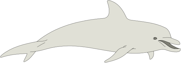 The image shows a black and white illustration of an animal that appears to be a shark with its mouth open as if it's swimming in water.