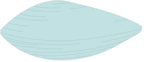 The image shows a stylized fish swimming through water with ripples around it against an abstract background that resembles waves in shades of blue-gray tones.