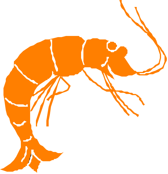 The images show a cartoon depiction of two lobsters with orange shells against black backgrounds; each has antennae on its head and is facing different directions: one left side up and the other right side down, both in profile view.