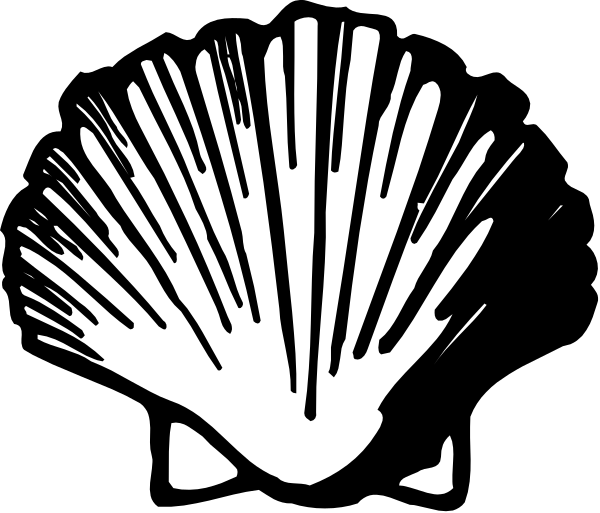 The image shows a black and white illustration of an open seashell with its interior visible against a dark background.