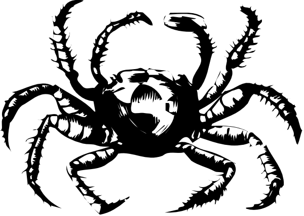 The black and white silhouette of a spider with its web on it against a dark background.