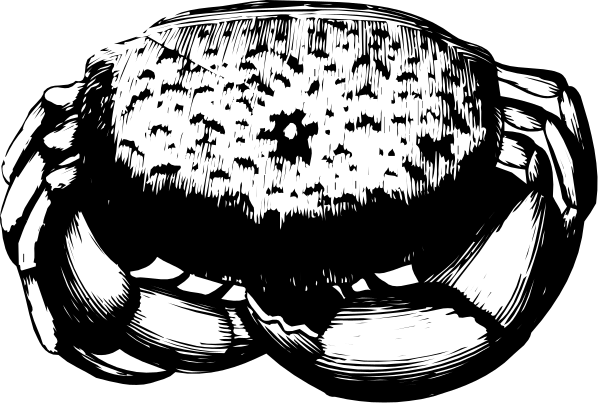 The black and white photo shows a lobster with its claws open against an indistinct background.