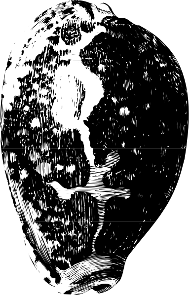 The image shows a black and white photo of an object that appears to be a disco ball with lights reflecting on it against a dark background.