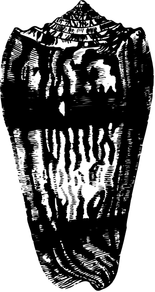 The image shows a black and white photo of an object that resembles a vase with intricate patterns on it placed against a dark background.