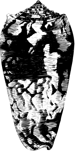 The image shows a black and white photo of an object that appears to be some sort of mechanical device with intricate details on its surface; it's difficult to discern specific features due to low resolution.