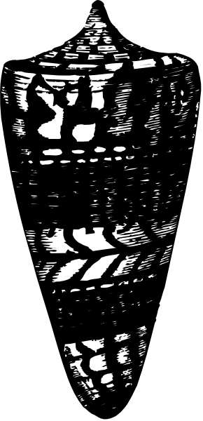 The black and white photo shows a vase with intricate designs on it placed against a dark background.