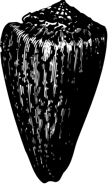 The image shows a black and white photo of an umbrella with raindrops falling from it onto what appears to be a surface below.