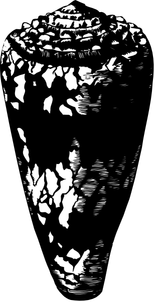 The image shows a black and white photo of an object that resembles a vase with intricate patterns on it placed against a dark background.