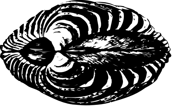 The black and white illustration shows a stylized fish with its fins spread out against an abstract background that resembles water ripples.