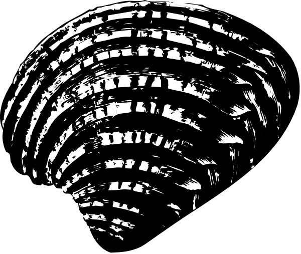 The black and white photo shows a close up of an object with multiple layers that resemble waves or ripples emanating from it in different directions; there is no text present on this image to provide additional context about what might be depicted beyond its abstract nature, which could suggest various interpretations depending upon the viewer's perspective.
