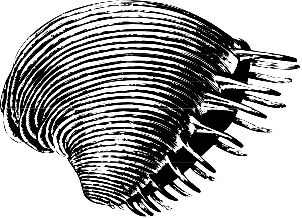 The black and white photo shows a tornado with swirling patterns of clouds around it against an overcast sky background.