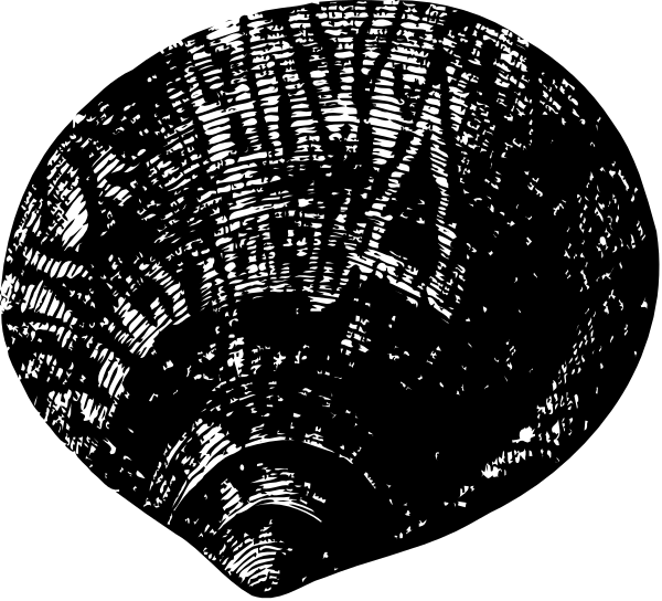 The image shows a black and white photo of an object that appears to be a map with various lines indicating roads or paths on it.