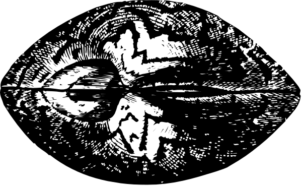 The black and white photo shows a close up of an object with intricate patterns that resemble mechanical parts or gears within it; there is no text present in this image to provide additional context about what might be depicted beyond these observations.