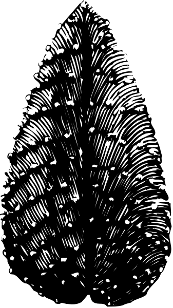 The black and white photo shows a fireworks display with multiple bursts of light against a dark sky background.