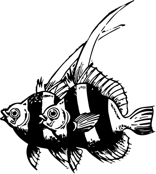 The black and white illustration shows a fish with two fins sticking out of its body; it is holding another smaller fish in front of itself using one fin as if to catch prey.