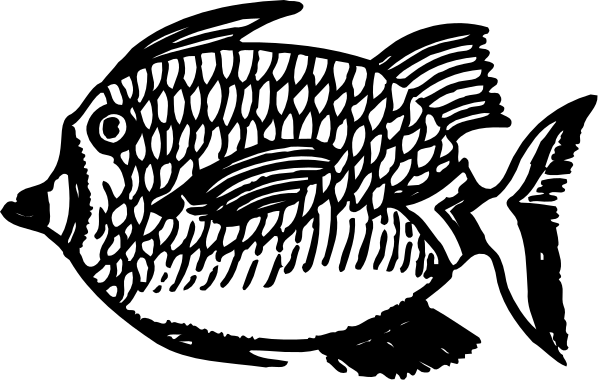 The black and white illustration shows a fish with scales on its body inside an oval frame.