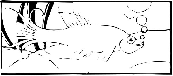 The image shows a black cat sitting on top of an object with two white dots next to it.