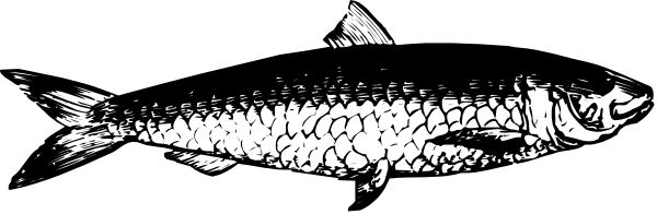 The image shows a fish with an exaggeratedly large eye swimming underwater next to some text that is too small for me to read clearly in this description.