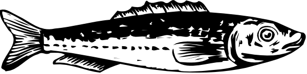 The black and white illustration shows a fish with an open mouth next to another smaller fish that appears closed-mouthed in front of it on what looks like water background.