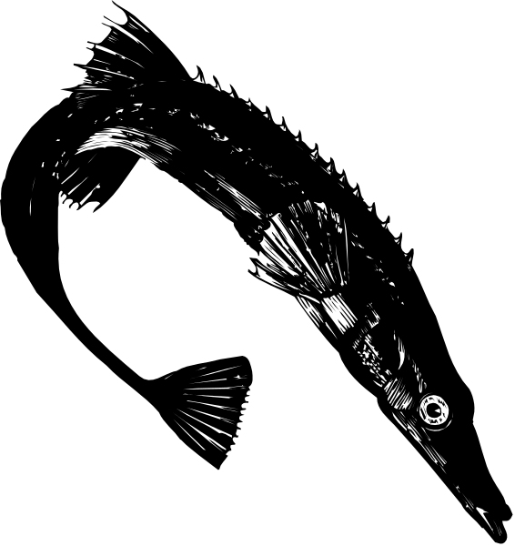 The black and white photo shows a fish with an open mouth revealing its teeth against a dark background on top of which there is text that reads "DON'T EAT THE FISH."