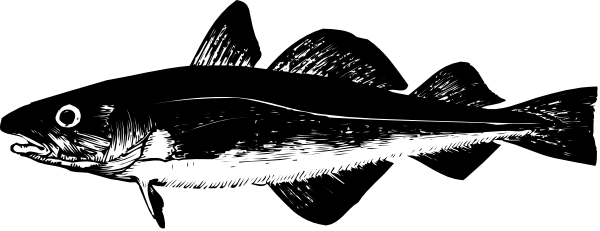 The black and white photo shows a fish swimming underwater with its fins visible above water level.