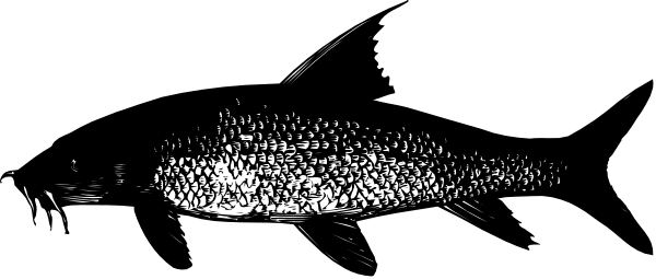 The image shows a black and white photo of an object with multiple layers that resembles a cake but is actually made up of various items including what appears to be a person's face on one layer and possibly other objects like books, papers, etc., creating a complex layered effect in the center.