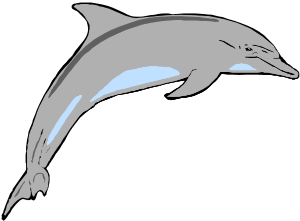 The image shows a cartoon dolphin swimming underwater with its head above water level against a black background.