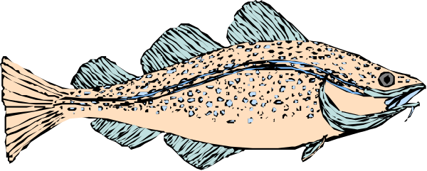 The image shows a cartoon depiction of two fish swimming together with bubbles around them against a dark background; there is no text present in this clip-art illustration.