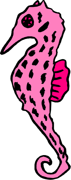 The image shows a pink seahorse with spots on its body next to an anchor point that is black and white striped in coloration.