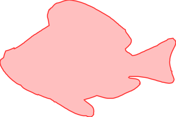 The image shows a pink fish with an open mouth against a black background.