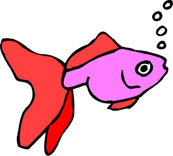 The image shows a cartoon of an orange fish with red fins swimming underwater next to pink coral reefs in front of black background.