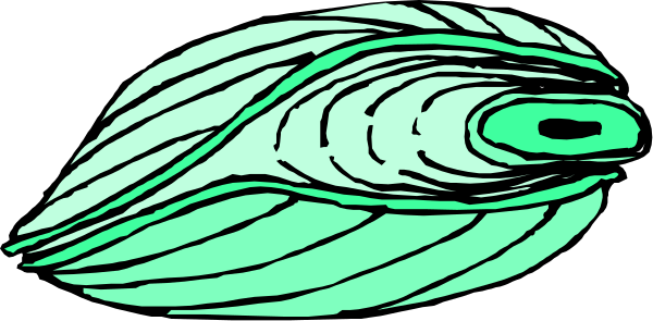 The image shows a stylized fish with green fins swimming through water against an abstract background that resembles waves of light blue coloring.