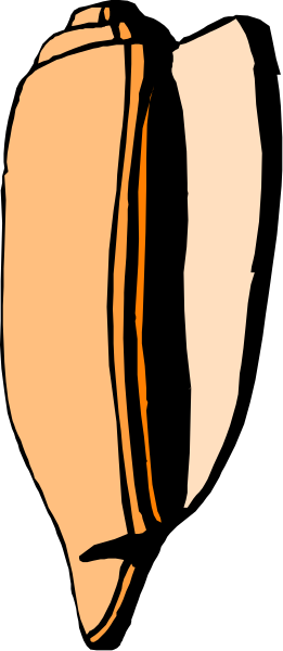 The image shows a close up of an ear with visible details such as folds and ridges on its surface.