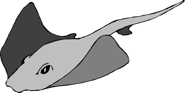 The black and white silhouette of a shark swimming underwater with its mouth open to catch prey.