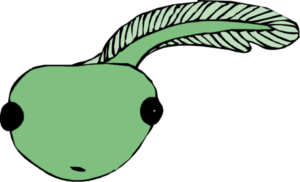 The image shows a green apple with an eye on it next to another similar object that has two eyes.
