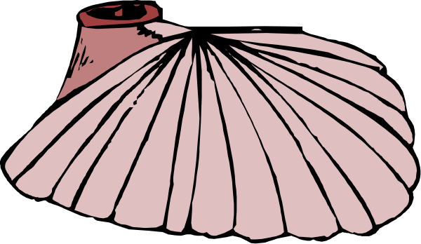 The black and white illustration shows a shell with an open valve on top of it next to another closed seashell in front of them both is pink coloring book page background