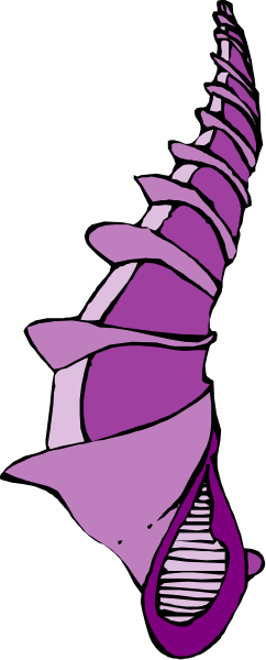 The image shows a purple spine with vertebrae against a gray background.