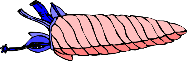 The image shows a pink crab with blue claws on its right side against a gray background.