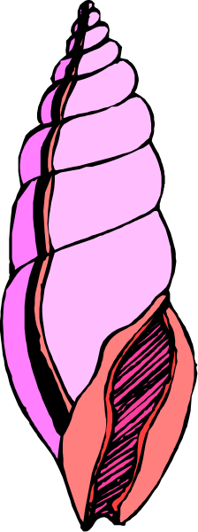 The image shows a pink snail with its shell open against a black background.