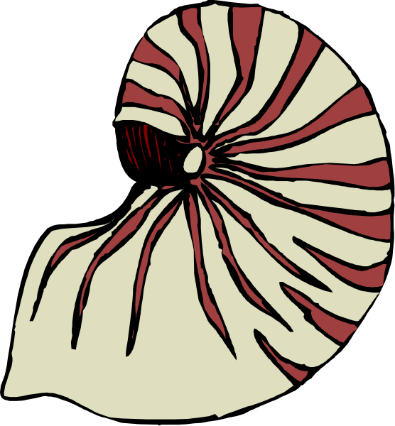 The image shows a cartoon of an eye with red pupils on top of what appears to be a stylized shell-like object in black and white tones against a dark background.
