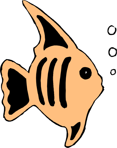 The image shows a stylized orange fish with black details against an off-white background on what appears to be a digital display screen.